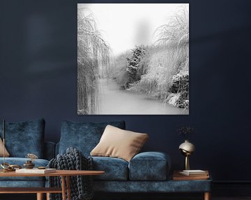 Des saules sont suspendus au-dessus de l'eau.