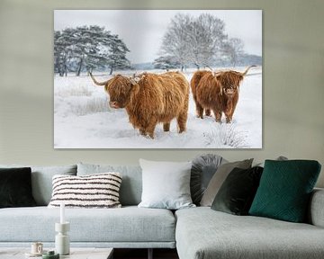 Scottish Highlanders - Une tranquillité intemporelle sur Coby Bergsma