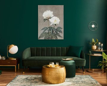 Weiße Pfingstrosen in ruhiger, sanfter Malweise