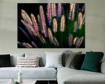 GRÄSER 1 van Miroslav Ptacek