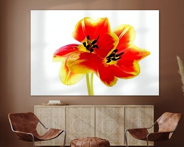 BLOEMENDROMEN 6 van Miroslav Ptacek