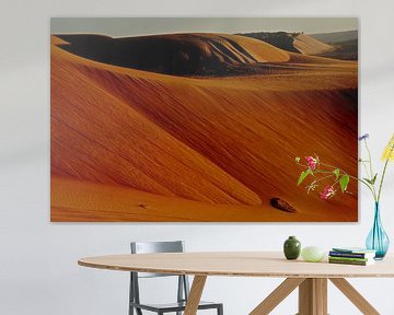 DESERT 7 by Miroslav Ptacek