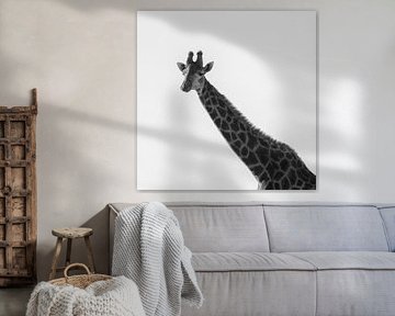 Ich bin eine Giraffe