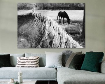 Close Up in Black and White Mane of a Horse by Claudia Luijten