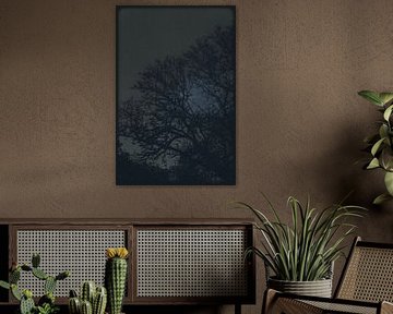 Silhouettes de minuit sur Jasmijn van dort