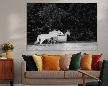 CAMARGUE - PFERDE 4 von Miroslav Ptacek