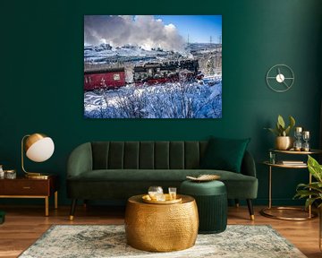 Le chemin de fer du Brocken près de Schierke dans le Haut-Harz