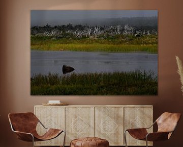 GROS MORNE 1 by Miroslav Ptacek