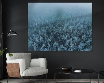 Dreamworld by Richard Driessen