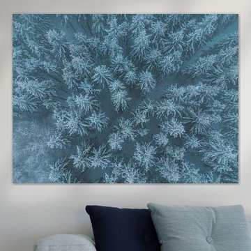 Winter in den Ardennen