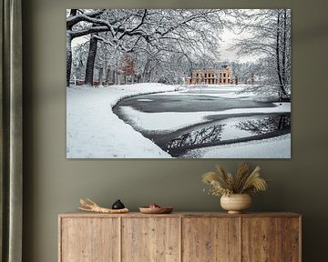 Nienoord castle pond in the snow by R Smallenbroek