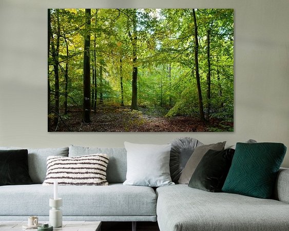 Aperçu de la chambre