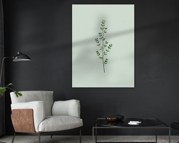 Branche de thym délicate sur Giandra Safaraz