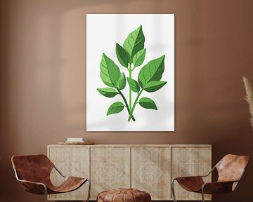 Grappe de feuilles de basilic sur Giandra Safaraz