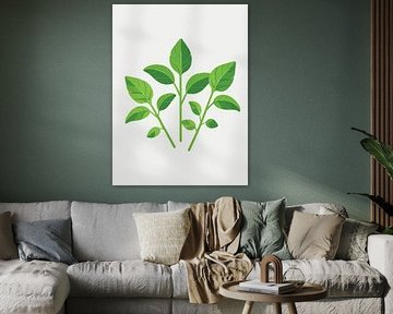 Grappe de feuilles de basilic sur Giandra Safaraz