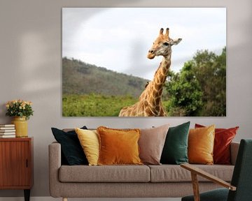 Giraffe van LottevD