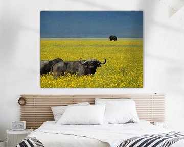 Tanzania safari von Mandy van der Doelen