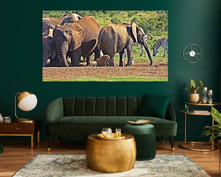 Aperçu de la chambre