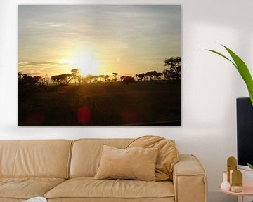 Tanzania safari by Mandy van der Doelen