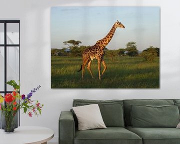 Tanzania safari by Mandy van der Doelen