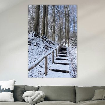 Snowy Neigembos Forest Landscape