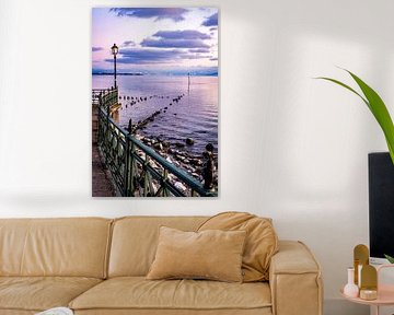 Am Ufer Bodensee von Dieter Walther