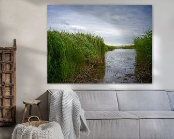 Darß peninsula - view of the Bodden by t.ART