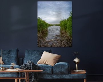 Darß peninsula - view of the Bodden by t.ART