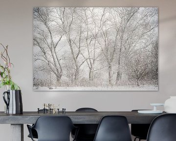 Snowy landscape in Sint-Oedenrode