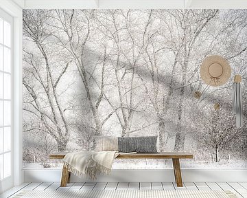 Sneeuwlandschap in Sint-Oedenrode