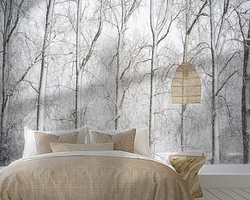 Winterstilte in de Dommelbeemden