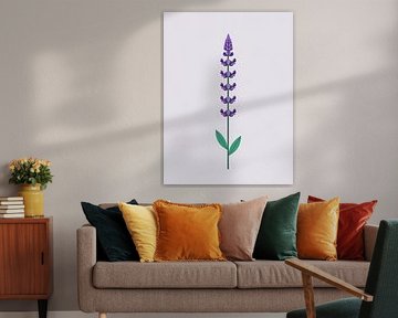 Lavendelstängel Illustration von Giandra Safaraz