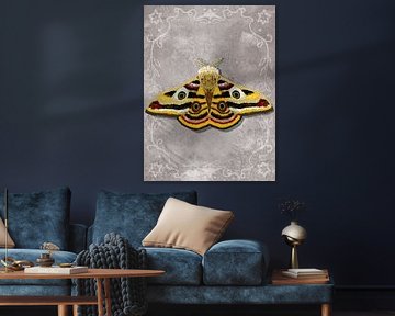 Moth 1 by Aliya Putrus