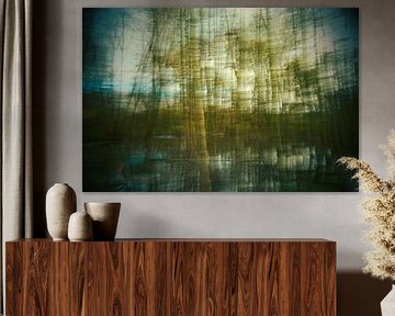 Moving Dreamy Trees in a forest with a lake