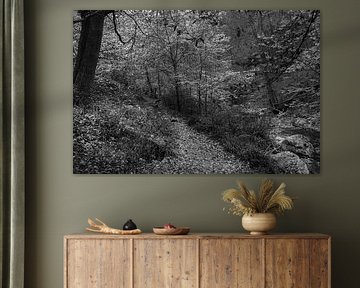 Een buigend pad in de Ardennen van Geert Van Baelen