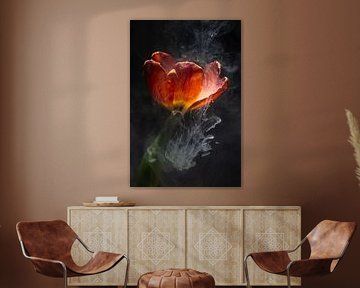 Orangefarbene Tulpe unter Wasser von Patricia van Kuik