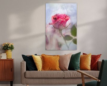 Rose unter Wasser blau-violett von Patricia van Kuik