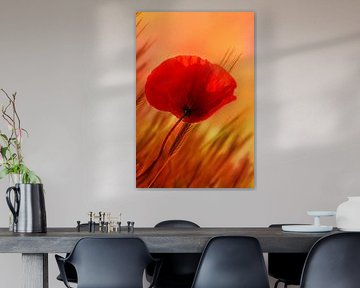 Mohnblume von Violetta Honkisz