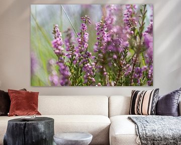 Session de Heath sur QEIMOY