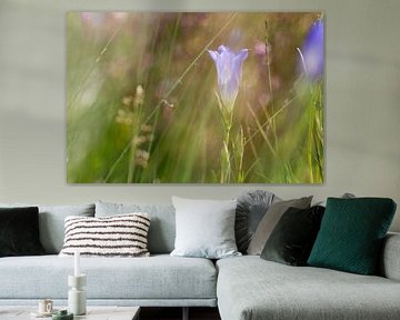 Le lilas invite à la lumière sur QEIMOY