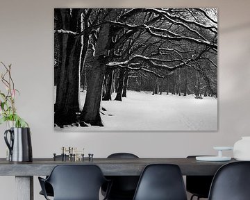 Winter bos in zwart-wit