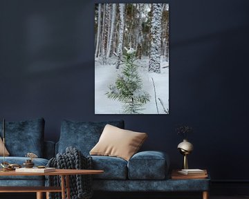 Kiefernwald im Winter von Jan Fritz