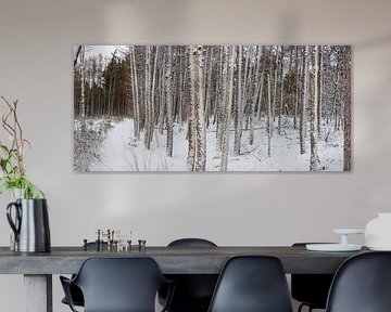 Kiefernwald im Winter von Jan Fritz