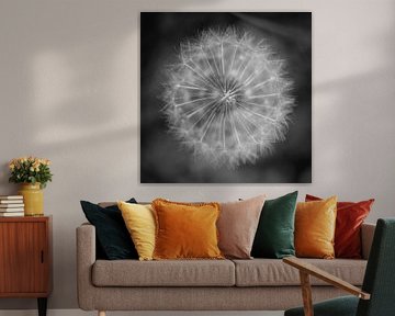 Fluff von Elke van Putten