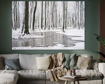 Flux hivernal silencieux dans une forêt enneigée sur Cor de Hamer