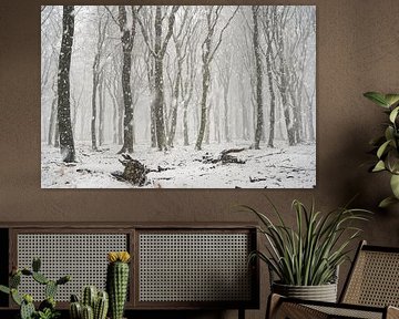 Grosse averse de neige dans la forêt de hêtres sur Cor de Hamer