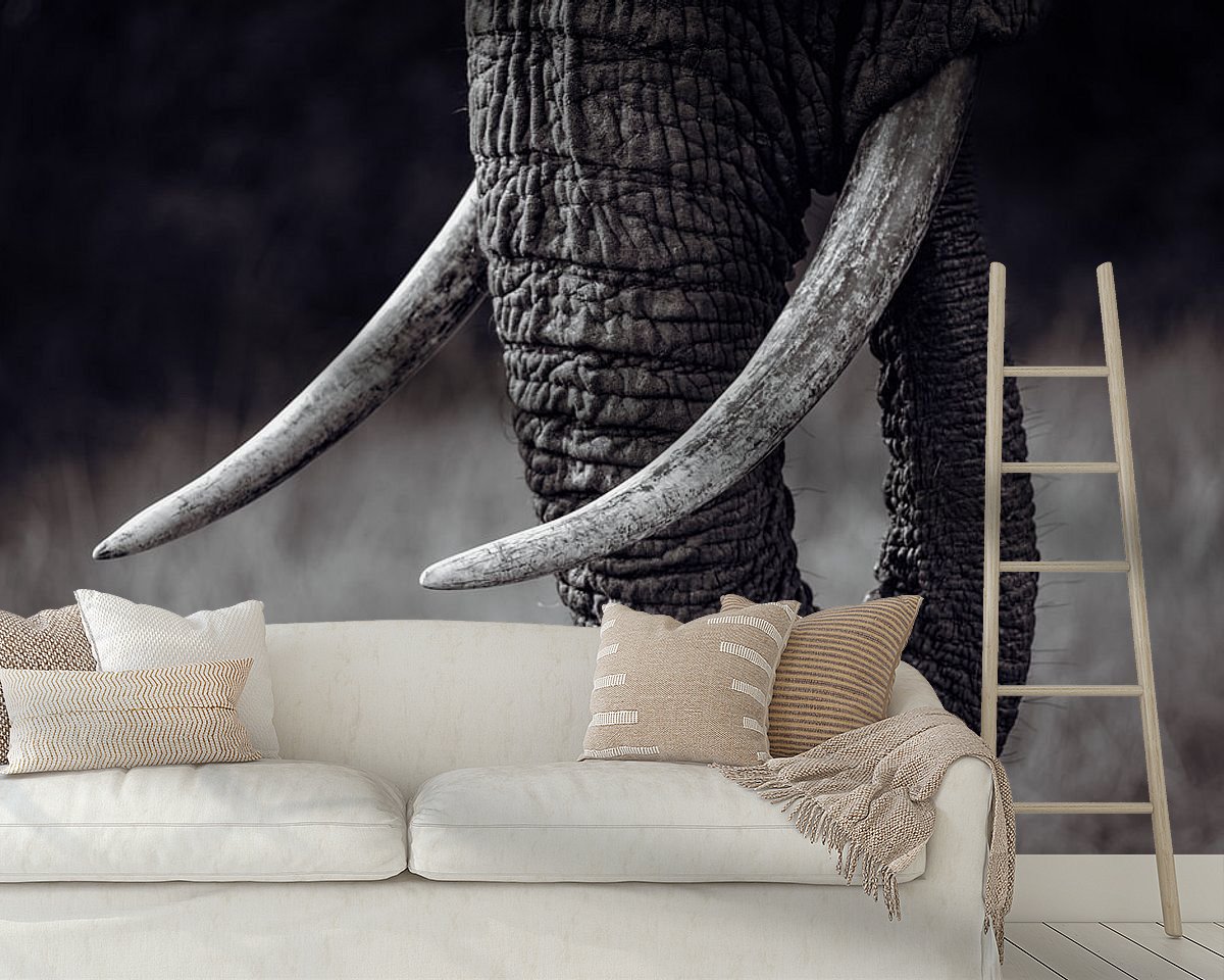 Raumvorschau