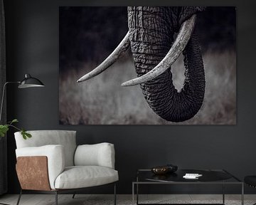 Nahaufnahme eines Elefantenjahrgangs von Beeldpracht by Maaike