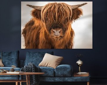 Gros plan sur un Highlander écossais