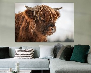 Gros plan sur un Highlander écossais